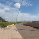 추사 유배길 - 3코스 사색의 길 이미지