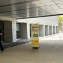 [알맹상점] 환경문제와 비거니즘 이야기 | [캠퍼스 크리에이터 2기] 카카오임팩트와 Tech for Imapct (feat. 개강 워크숍)