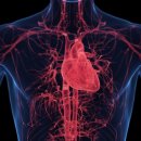 김보경연합내과의원 이미지