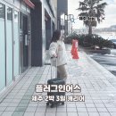 어스20 | 제주 2박 3일 여행 플러그인어스 20인치 캐리어 55cm 사용 후기