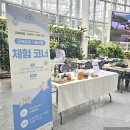 영광공예 | [클래스후기] 2026 공예주간 행운 나무 탄생석 비즈 식물 만들기 체험 주얼리 원데이 클래스 세종 공방...
