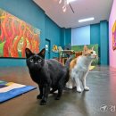 콩세유미술관 이미지