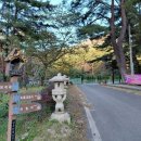 진주 상평동 석조여래입상 | “우리나라에서 가장 오래된 고갯길” 월악산 하늘재 코스 정보