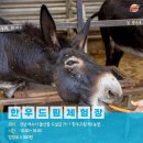 한우드림 이미지