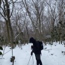 제주특별자치도 축산생명연구원 | 02. 한라산 하산합니다 | 성판악 산행기 ..⛰️