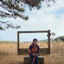 옥산제방 이미지