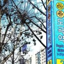 다비치안경 도곡역점 네이버블로그
