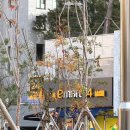 이마트24 부평해링턴점 이미지