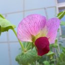 어울림공원 이미지