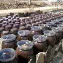 주록리계곡 루돌프 이미지