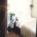 다올미르 | 대구 애견동반 펜션 바베큐 수영장 가능한 힐링 숙소 모음