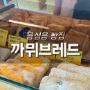 &lt;음성 음성읍&gt; [까뮈브레드] 식사용빵으로 좋은 호밀빵 전문 베이커리
