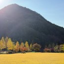 강남대로97길 48 | 2025.11 ①