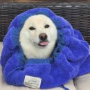 파크드 이미지