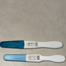 아빠곰약국 | [임신극초기~8주차] 트니야 만나서 반가워 ♥