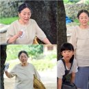 피어라 티브이데일리