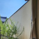 온정여관 이미지