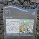 지영유치원 | 4월 제주도, 환상과 현실 사이? 부부가 함께한 유채꽃 투어 솔직 후기