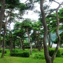 남산1리 이미지