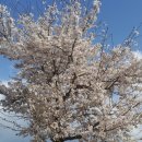 판이농장 이미지