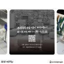 호연나무