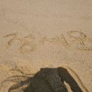 바다보고