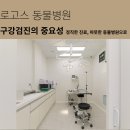 로고스 동물병원 | 용인시청 동물병원? 구강검진을 꼭 해야 되는 이유