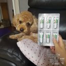 나누리약국 이미지