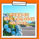 광주동양여행사 | 대구/부산/서울_제주도_3박4일 #관광패키지 #노옵션 #석조 / 제주도 3박4일 패키지 여행 여행사 / 김해공항