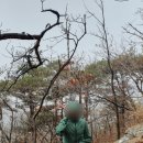 백아산관광목장 | [전남/화순] 백아산(白鵝山 810m) 우중 산행 후기, 사진 / 등산코스(백아산관광목장~각수바위~능선...