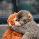 [3분기] 양재교실 고급 | 극장은 나의 요거트 아이스크림