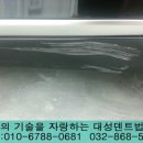 대성범버