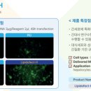 대명과학상사 이미지