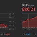 2월8일 특징주,상승종목