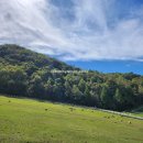 웰컴투목장 이미지