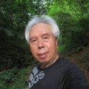 헝클머리 이미지