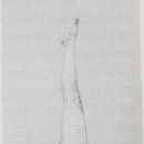 아란야 요가 이미지