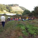 천마약품 이미지