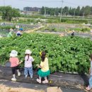 익산 농장 이미지