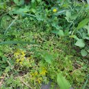 봉우재로 이미지