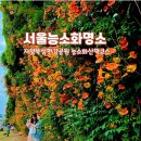 세븐일레븐 한강뚝섬3호점 | 서울 뚝섬 한강공원:: 능소화 산책 자양역에서 성수역까지