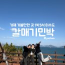 춤다리쉼터민박 | 거제 가볼만한 곳 1박3식 이수도(2/3) 갈매기 민박 가격, 후기
