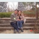 성중농장 Daum카페