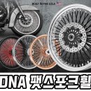 휠고고 이미지