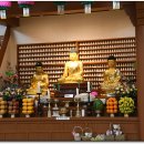 불기 2568년 부처님 오신날 봉축법요식 및 삼장법사, 교법사, 전법사, 봉사상 수여식 이미지