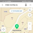 안정로 이미지