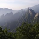 공룡김밥 이미지