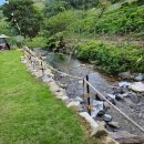 그곳만이 내 세상 이미지