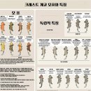 게코정