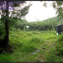 신미목장 이미지